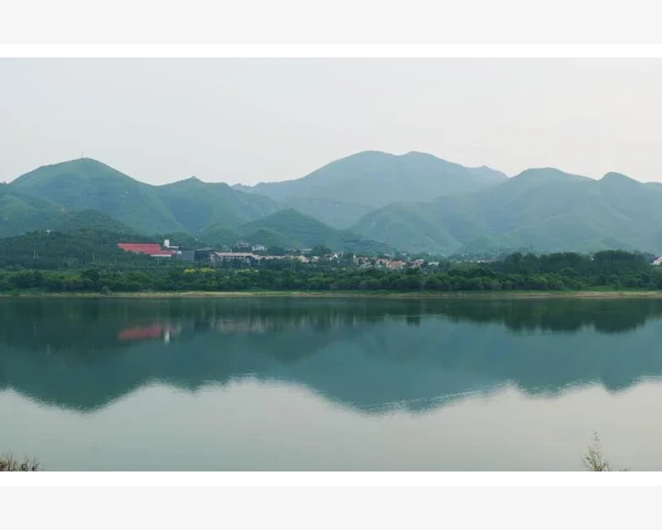 夏日养生重脾胃，饮食调理有讲究