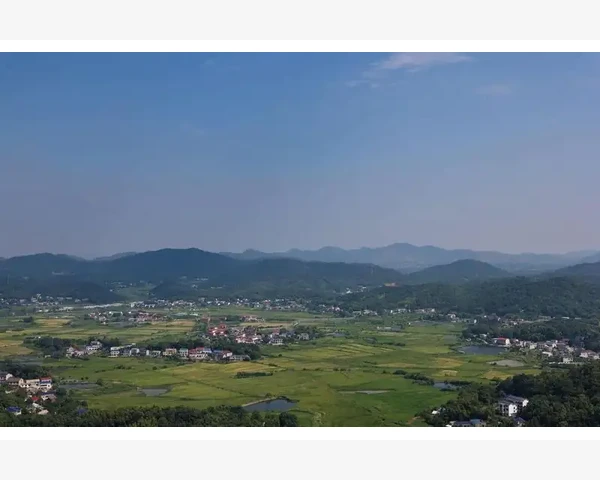 中医科普：为什么睡前三小时不能喝中药